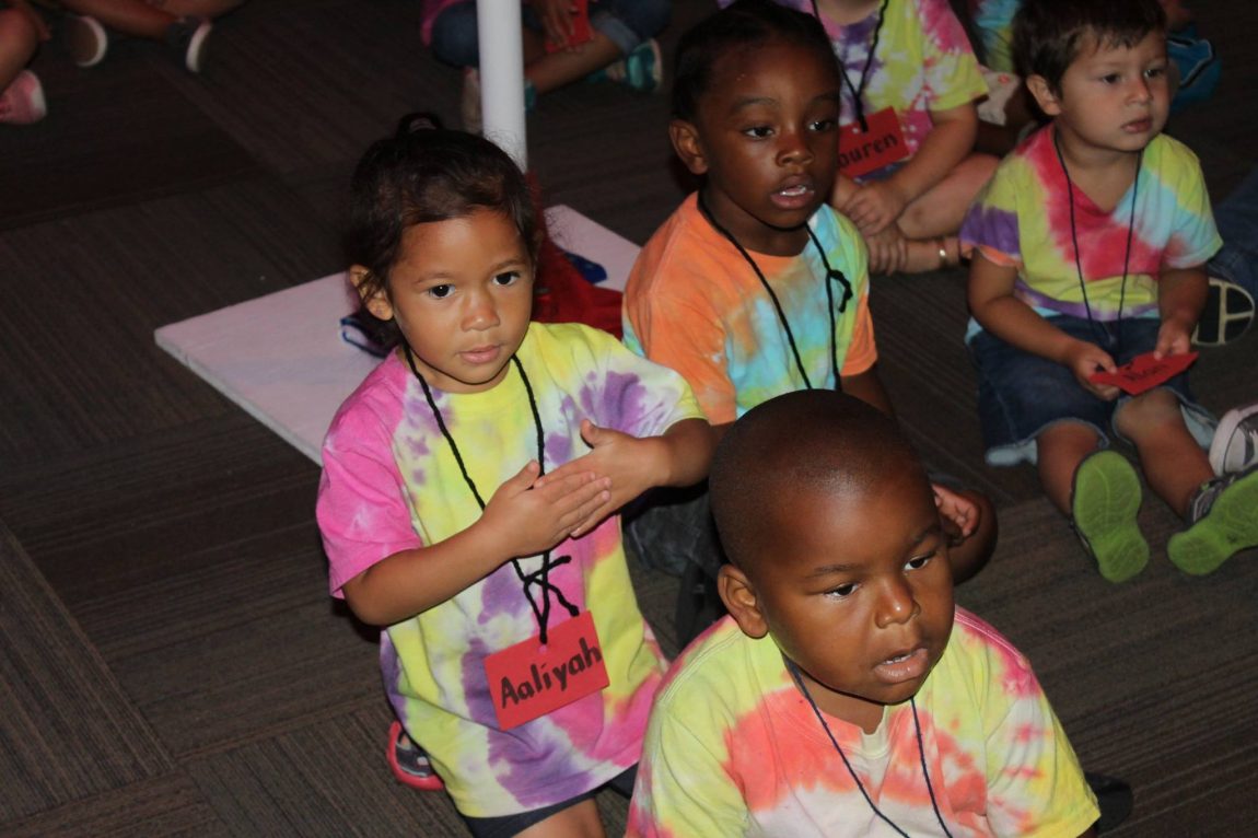 VBS 3