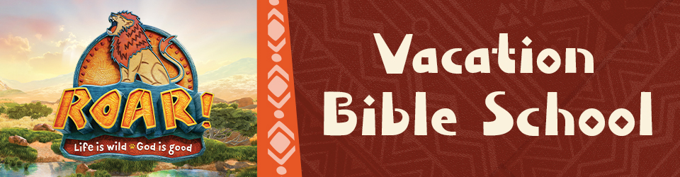 VBS 2019 event