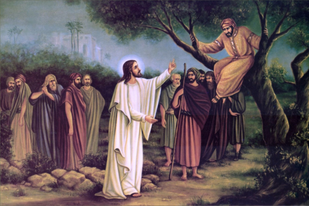 Going Out on a Limb for Jesus with Zacchaeus