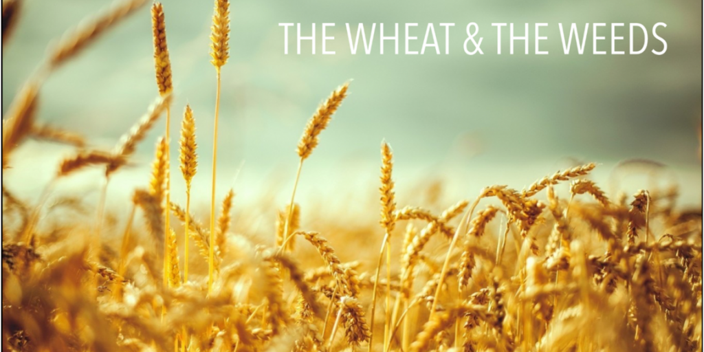 The Wheat & the Weeds The Wheat & the Weeds
