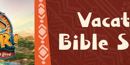 VBS 2019 event