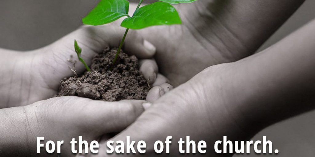 stewardship quote for the sake stewardship quote for the sake